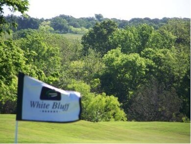 15081 Golf Dr, Whitney, TX 76692 - photo 4