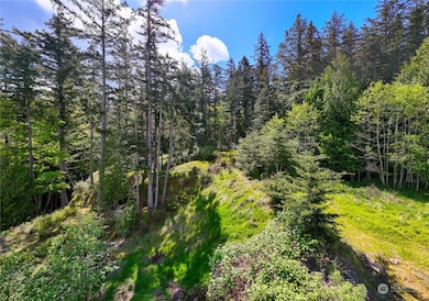 2907 17th St, Anacortes, WA 98221 - photo 4