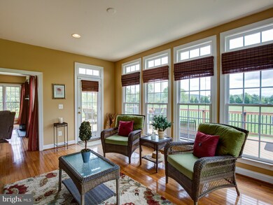 16762 Chestnut Overlook Dr, Purcellville, VA 20132 - photo 7