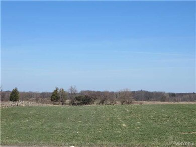 Land/Lot.