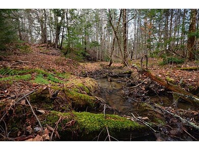 Other. Creek front