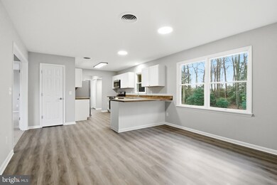 36950 Wells Ln, Millsboro, DE 19966 - photo 7