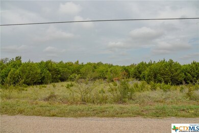 1535 Lutheran Church Rd, Copperas Cove, TX 76522 - photo 2