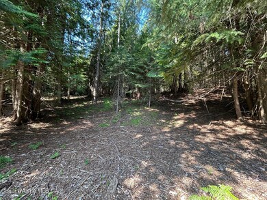 01 Shady Cedar Lot