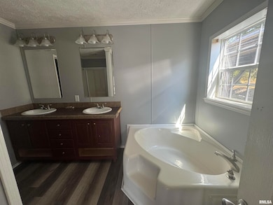 413 Walnut St, Zeigler, IL 62999 - photo 7