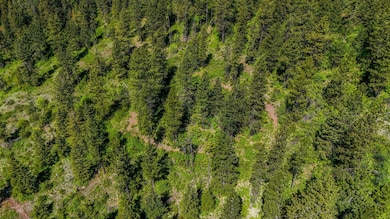 NNA E Deer Lake Way, Loon Lake, WA 99148 - photo 7