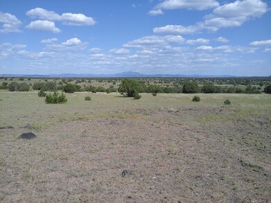 Lot 47 Juniperwood Ranch Unit 11, Ash Fork, AZ 86320 - photo 6