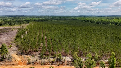 Old CC Road SC Land for Sale-02