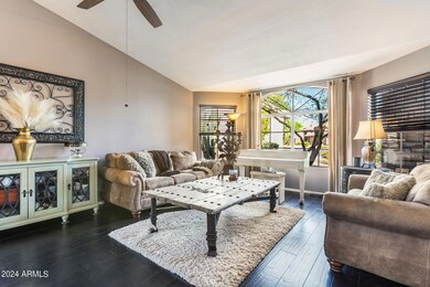 Living Room with Lots of Natural Light
