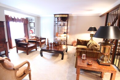 Large main living/family room