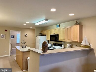 36501 Palm Dr unit 1206, Rehoboth Beach, DE 19971 - photo 6
