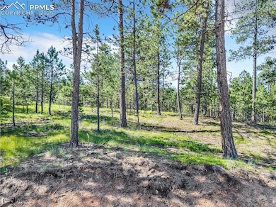 14371 Allen Ranch Rd, Black Forest, CO 80908 - photo 2