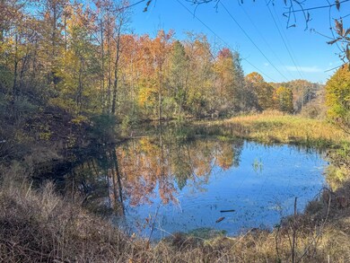 Dixon Run -02