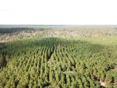 Gore Store Rd, Kountze, TX 77625 - photo 5