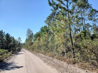 0 SW Prine Rd unit 19604535, Lee, FL 32059 - photo 2