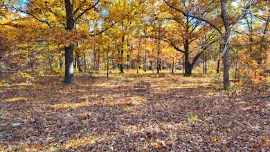 0000 County Road 64, Wheatland, MO 65779 - photo 6