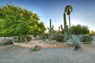 Incredible Cacti!