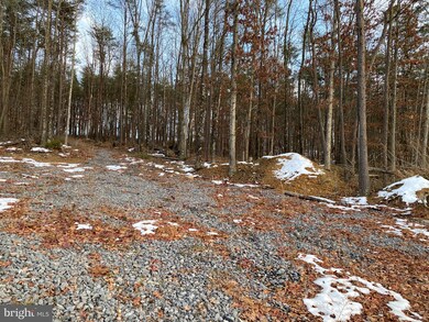 0 Spielman Rd unit WVMO117882, Berkeley Springs, WV 25411 - photo 5