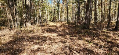 0 Highway 411 SE unit 7692418, Rome, GA 30161 - photo 3