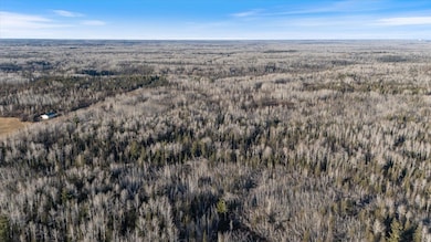 TBD County Road 103, Mahtowa, MN 55707 - photo 4