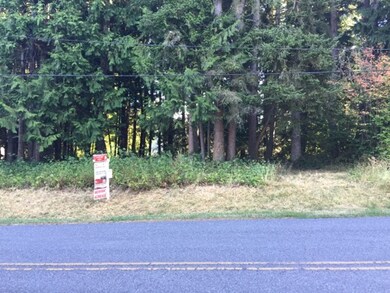 31 W Lake Ketchum, Stanwood, WA 98292 - photo 5