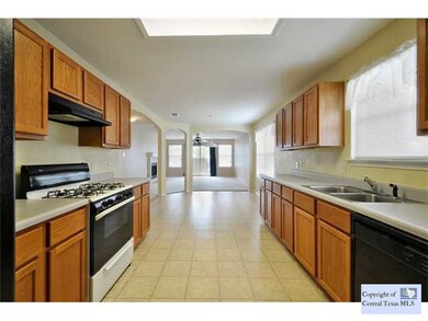 273 Spring Branch Loop, Kyle, TX 78640 - photo 6