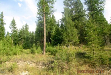 189 Torto Loop, Kila, MT 59920 - photo 3
