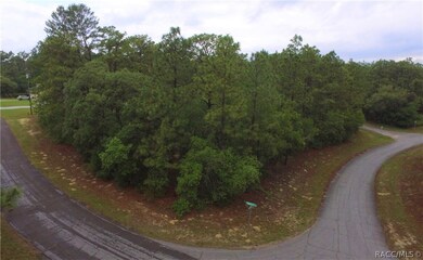 9290 N Marcus Way, Citrus Springs, FL 34433 - photo 5