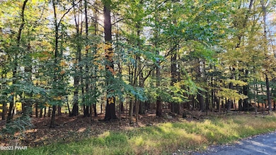 924-926 Hibernation Rd, Salem Township, PA 18436 - photo 3