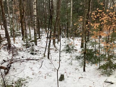 0 Haggetts Way unit 1516347, Bridgton, ME 04009 - photo 2