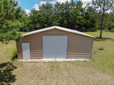 399 Helena-Chauncey Rd, Helena, GA 31037 - photo 4