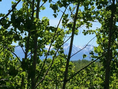 2940 S Knollwood Dr, Big Lake, AK 99654 - photo 4