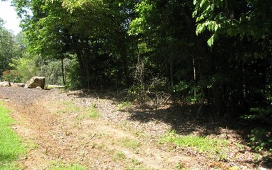 Additional View