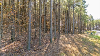 0 Raulston Falls Rd unit 1524330, Jasper, TN 37347 - photo 5