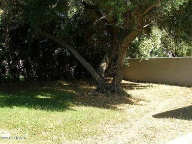 Front yard