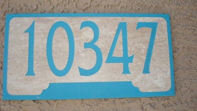 10347 E Dolphin!