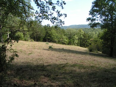 Lot 11 Bartels Subdivision, Kimberling City, MO 65686 - photo 5