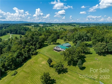 1194 Bear Creek Rd, Leicester, NC 28748 - photo 3