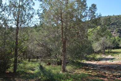 Lots of Trees for privacy!