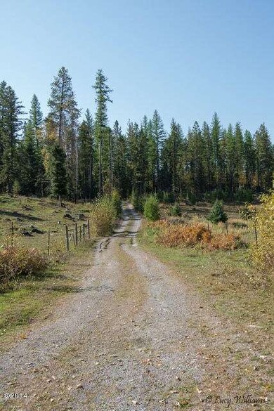 641 Wild Swan Trail, Bigfork, MT 59911 - photo 6