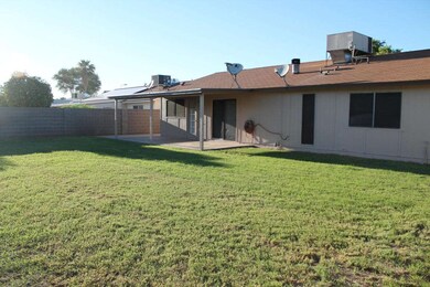 Large sunny yard with southern exposure