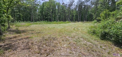 3270 Nesom Rd, Denham Springs, LA 70706 - photo 3