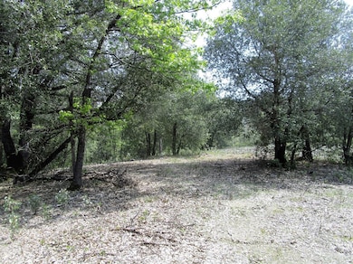 24271 Hoyt Crossing Rd, North San Juan, CA 95960 - photo 7