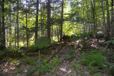 35 Driftwood Dr, Moultonborough, NH 03254 - photo 6