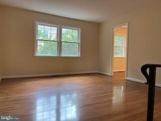 13 E Cliff St, Alexandria, VA 22301 - photo 5