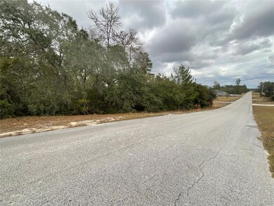 TBD SW 111th Place, Ocala, FL 34476 - photo 4