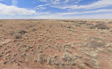 Pima St, Holbrook, AZ 86025 - photo 2