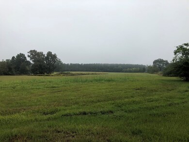 436 Airline Hwy, Tylertown, MS 39667 - photo 5