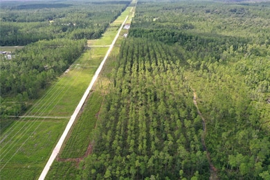 TBD NE 125th Ave, Fort McCoy, FL 32134 - photo 2