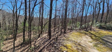 4.17 Acres Spruce Ln unit 28, Zirconia, NC 28790 - photo 6